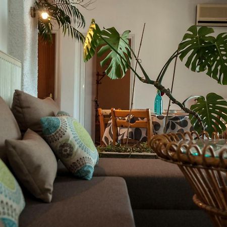 Paradise View Apartment PalaiónTsiflíkion Kültér fotó